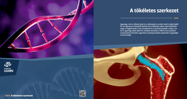 Съвършен механизъм