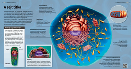 Тайната на клетката