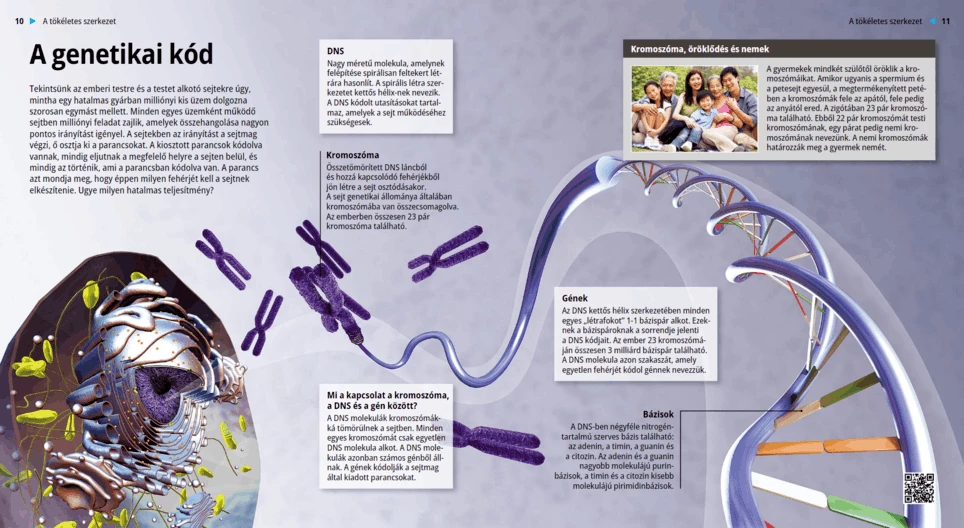 Генетичният код
