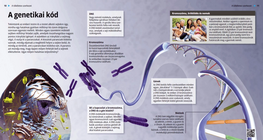 Генетичният код