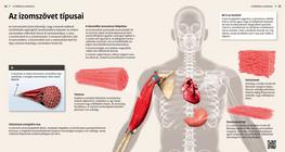 Видове мускулна тъкан