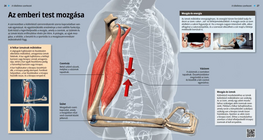 Движение на човешкото тяло