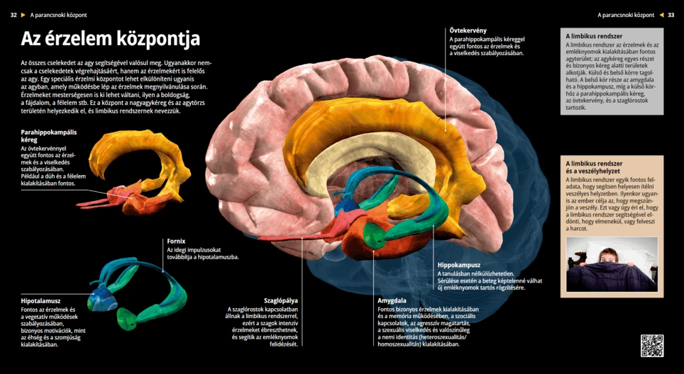 Центърът на емоциите