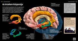 Центърът на емоциите
