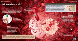 Какво съдържа кръвта?