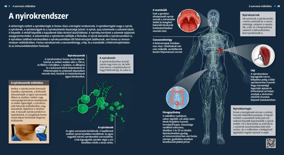 Лимфна система