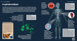 Лимфна система