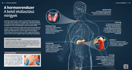 Ендокринна система – Жлези с вътрешна секреция