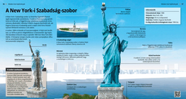 Статуята на Свободата в Ню Йорк