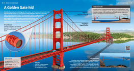 Мостът Голдън гейт