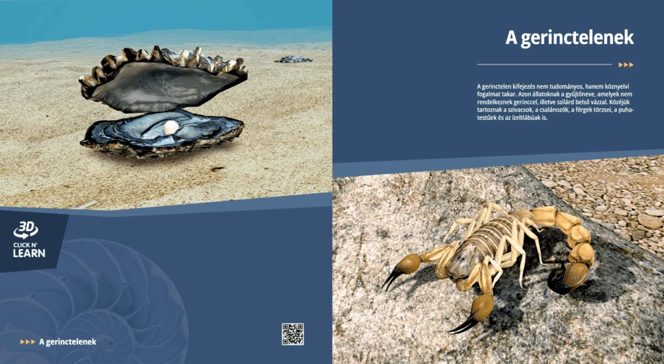 Безгръбначните