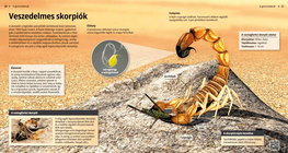 Скорпионите: малки и опасни