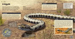 Змиите: фантастични същества