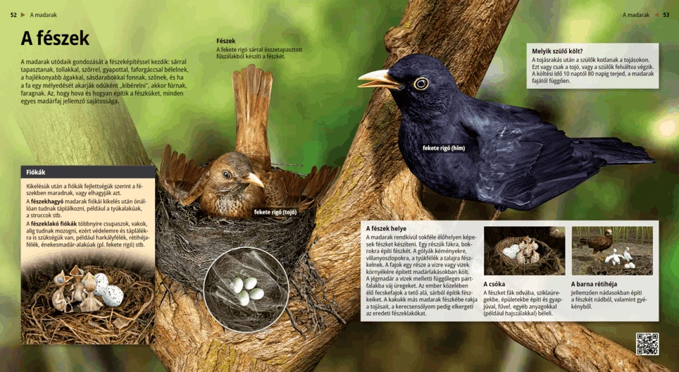 Гнездото: роден дом