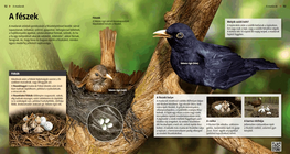 Гнездото: роден дом