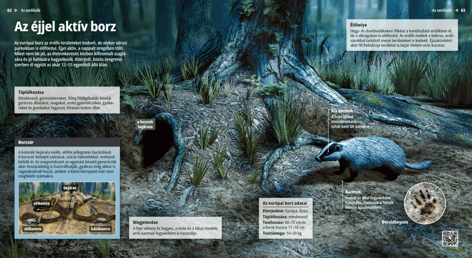 Язовецът: нощният копач