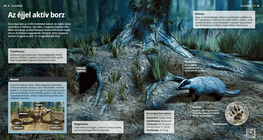 Язовецът: нощният копач