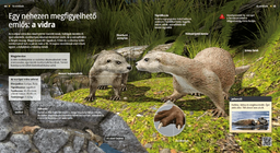 Видрата: суперплувецът