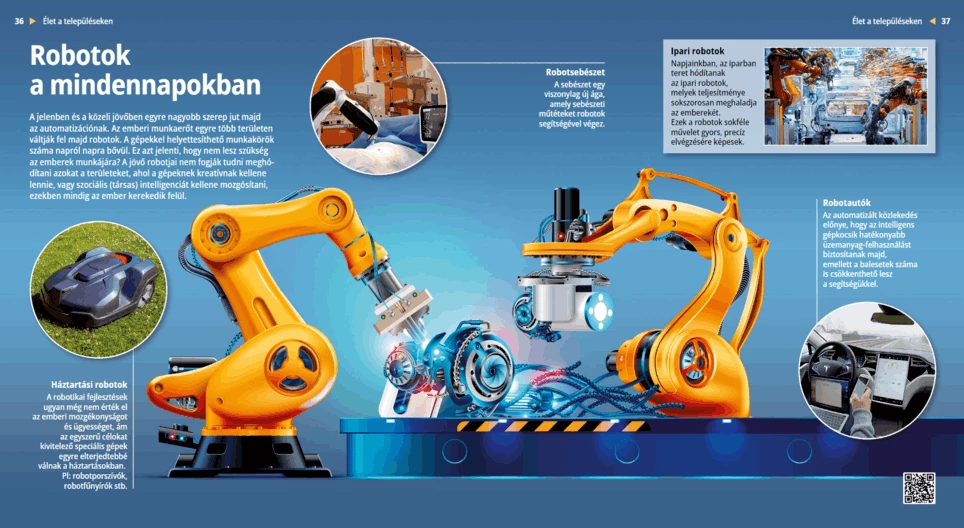 Роботи в ежедневието