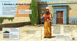 Дарий I, „Цар на царете“