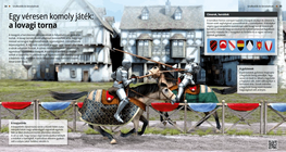 Една смъртно сериозна игра: рицарският турнир