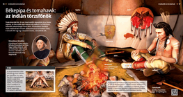 Лула на мира и томахавка: индианските вождове