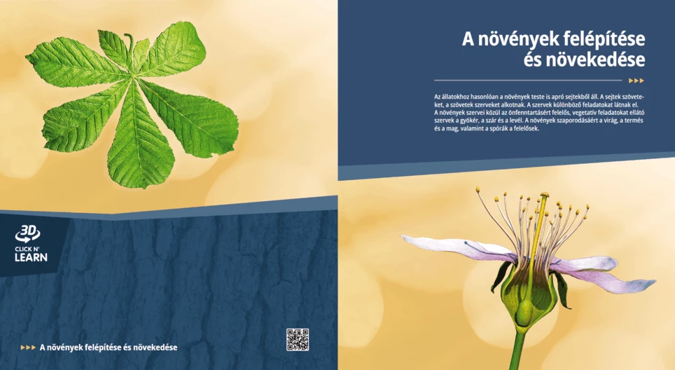 Строеж и развитие на растенията