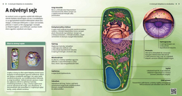 Растителна клетка