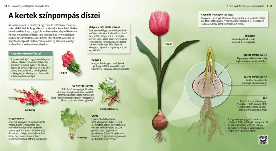 Цветната пъстрота на градините