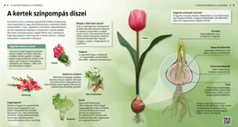 Цветната пъстрота на градините