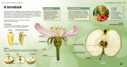 Видове плодове