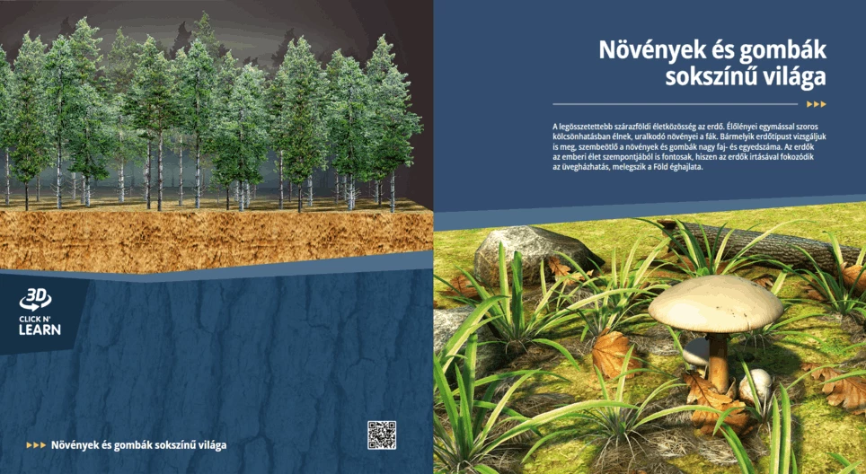 Разнообразният свят на растенията и гъбите
