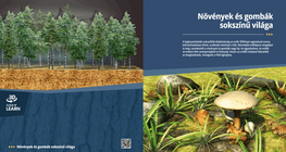 Разнообразният свят на растенията и гъбите