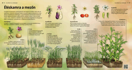 Килерът на природата