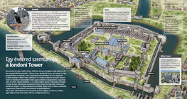 Свидетел на хилядолетието: лондонският Тауър