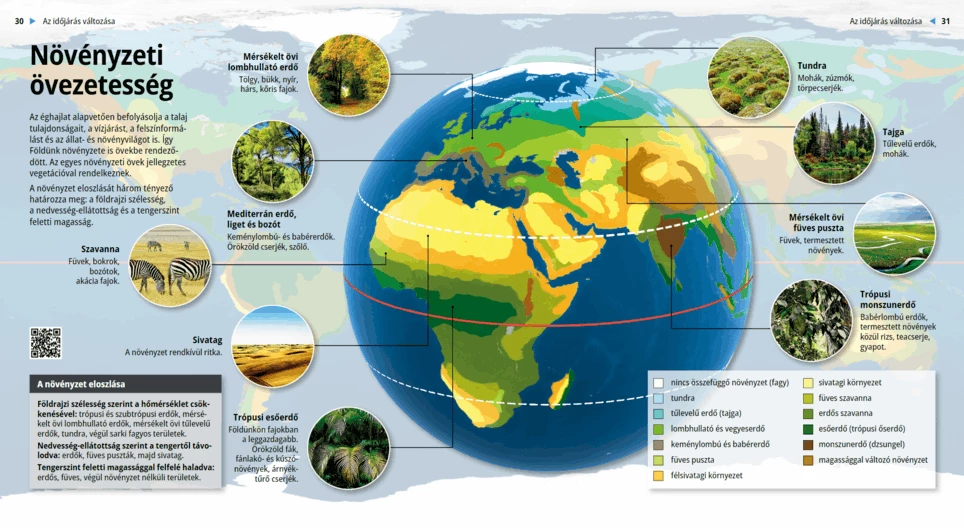 Зониране на растителността