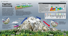 Вертикално зониране