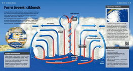 Тропични циклони