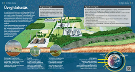 Парников ефект