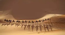 Присъедини се
към кервана!