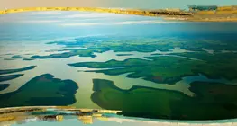 Амазонка
