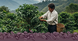 Справедливата търговия