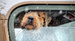 Проект "Времето"