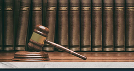 The pillars of democracy – the branches of state powers