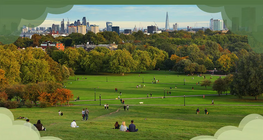 Кой носи отговорност за околната среда?