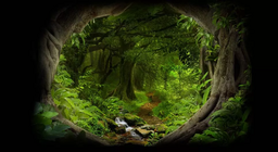 Какво се крие дълбоко в джунглата?