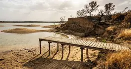 Our thirsty planet