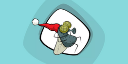 Къде зимуват мухите?