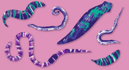 Невидимите твари: червеите