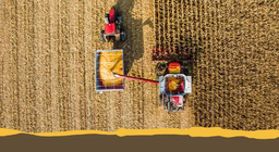 Зърнено-житни култури